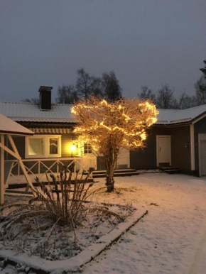 Aurora Center 3 in Rovaniemi